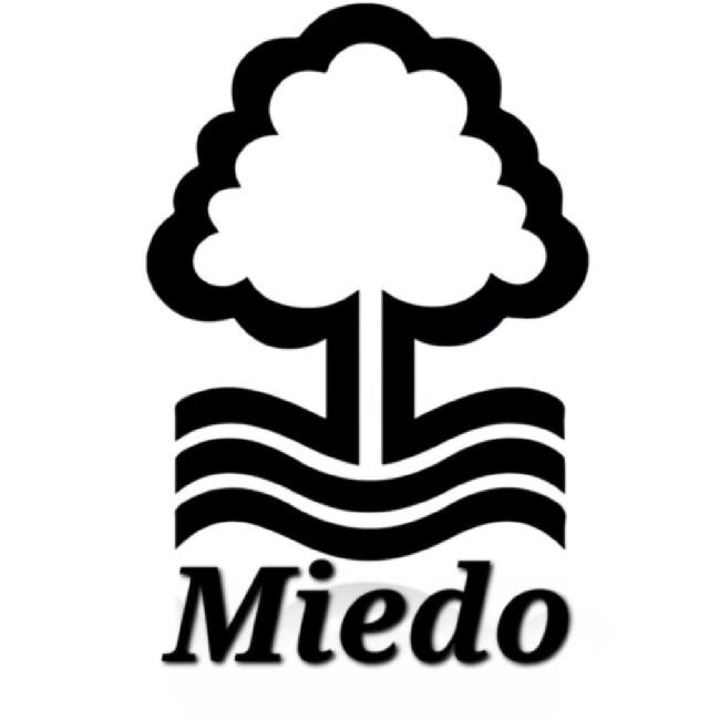 [DIV C] Nottinghman Miedo