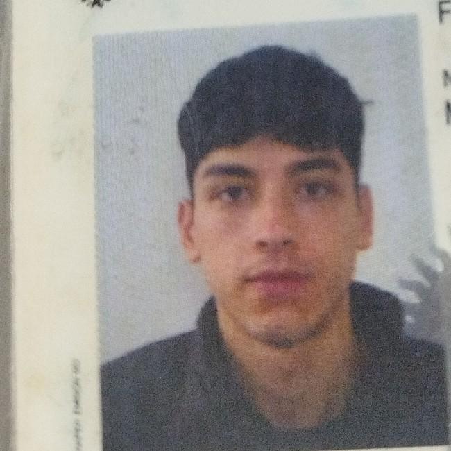 Flores Maximo
