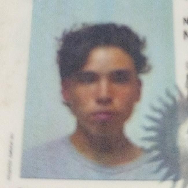 Cerutti Nereo