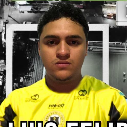 LUIS FELIPE VILLADA RUEDA