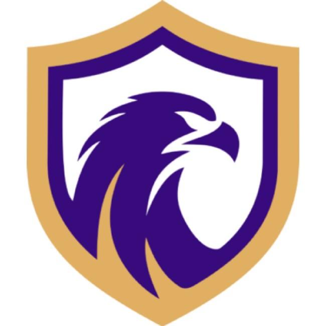 FALCON SE