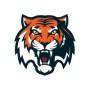 HC Amur