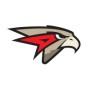 HC Avangard
