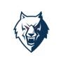 HC Neftekhimik