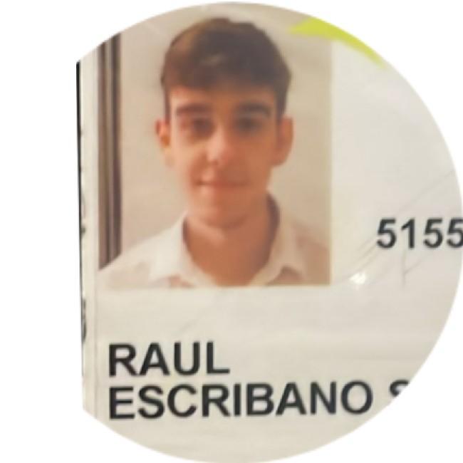 Raul Escribano Soto