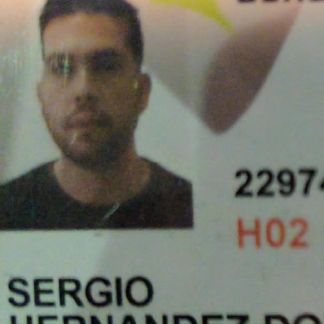 Sergio Hernandez Dominguez