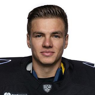 Роман Вилл