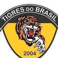 Tigres do Brasil