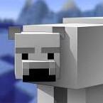 Polar Bear Town