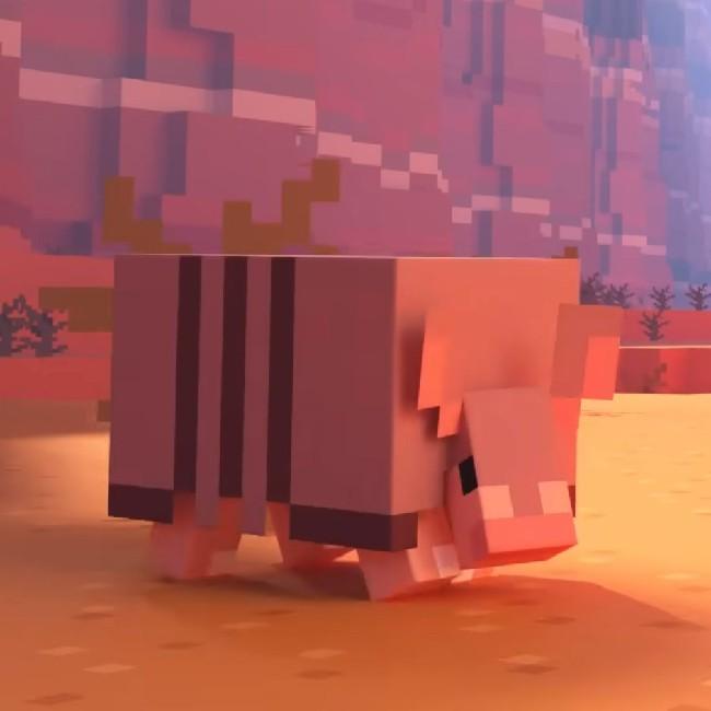 Armadillo Attackers