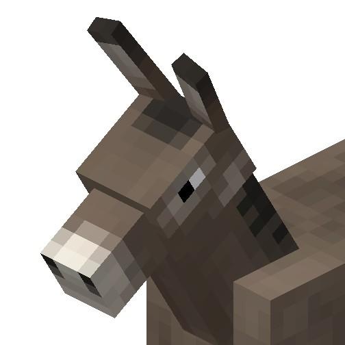 Donkey Rovers