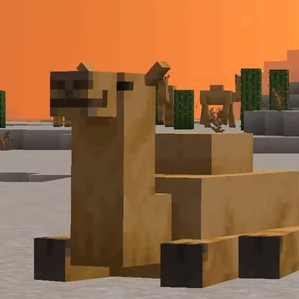 Camel County