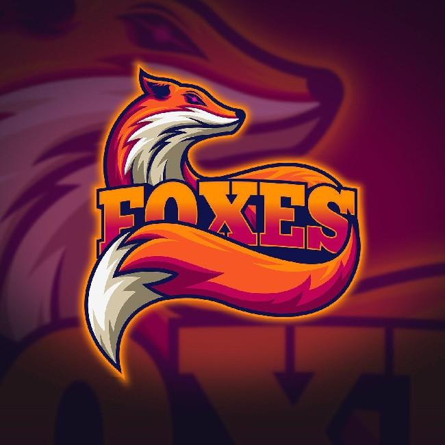 Team Red Foxes 🇵🇪