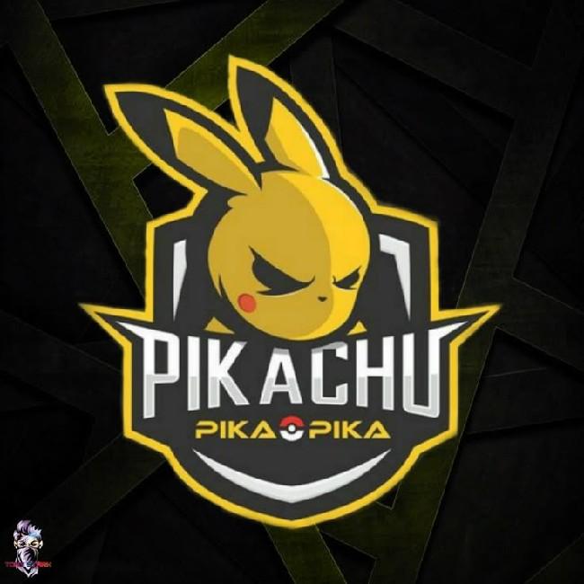 Team Pikachu 🇵🇪