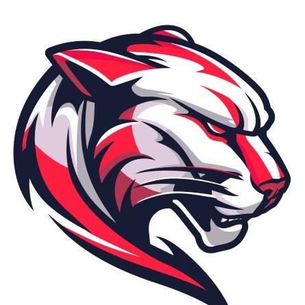 Team Bagheeras 🇵🇪