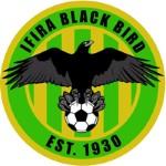 Ifira Black Bird