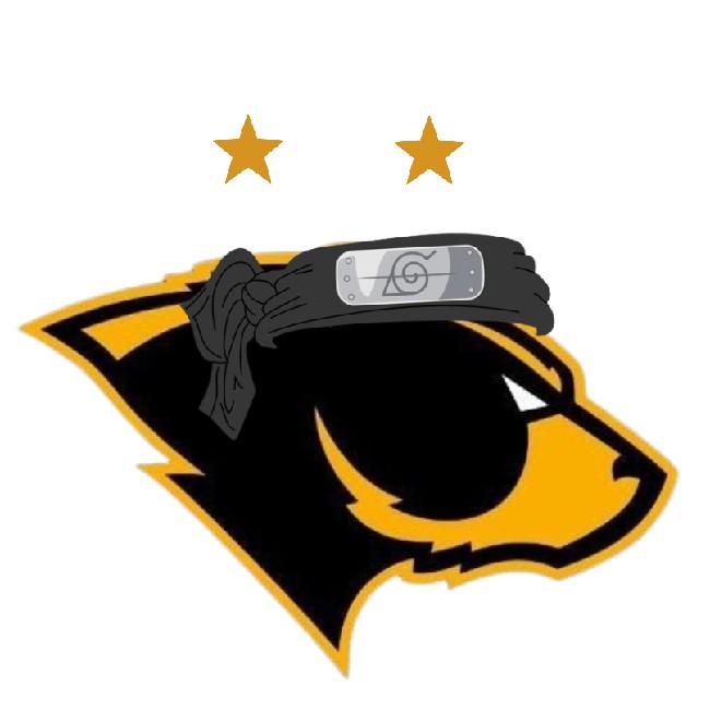Team Bears