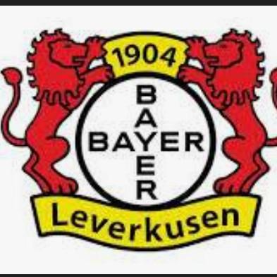 Bayer Leverkusen - Luiz