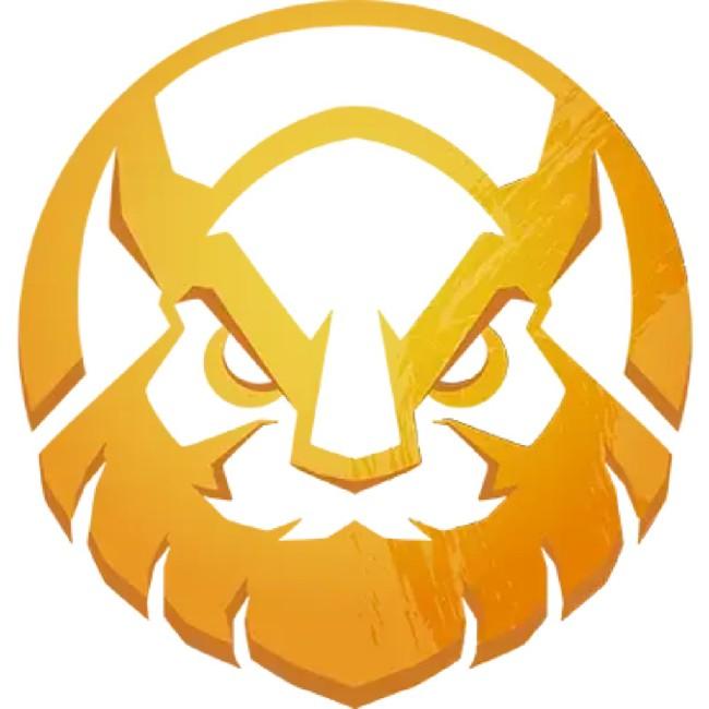 VIKINGS ESPORTS