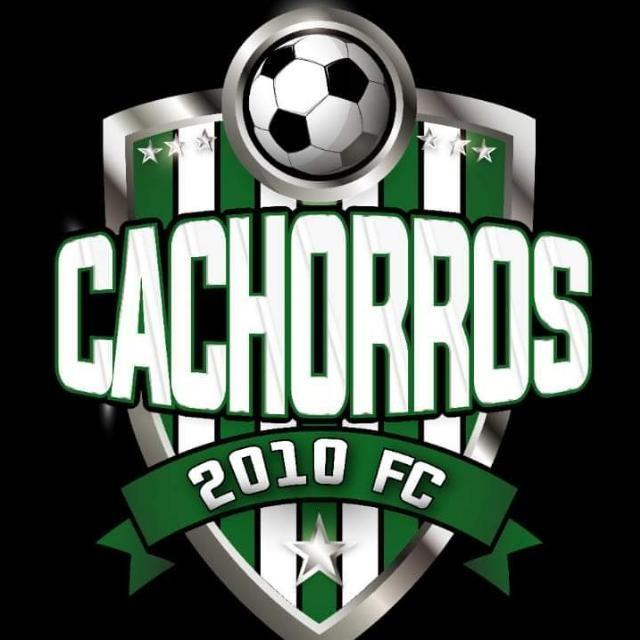 Cachorros