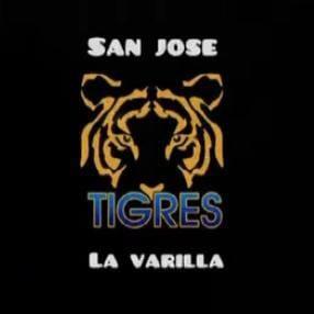 Tigres