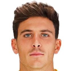 Pau torres