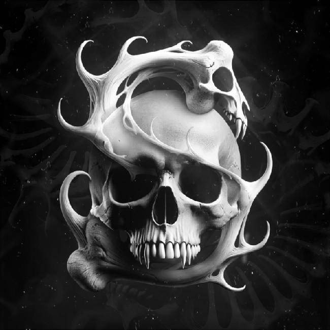FIV3 SKULL