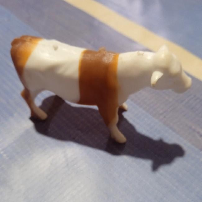 Boi meio laranjado gk