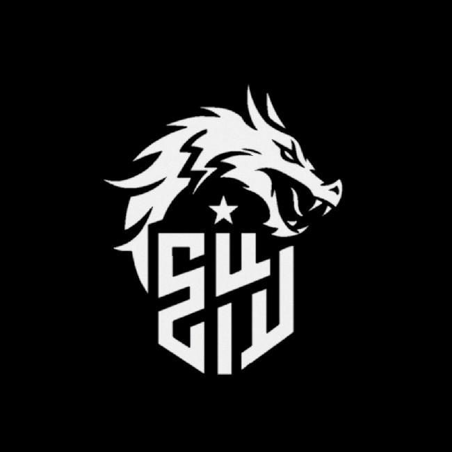 Stx.SIW