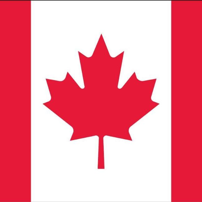 Биннингтон 84