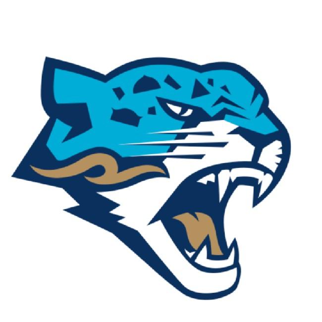 Barys