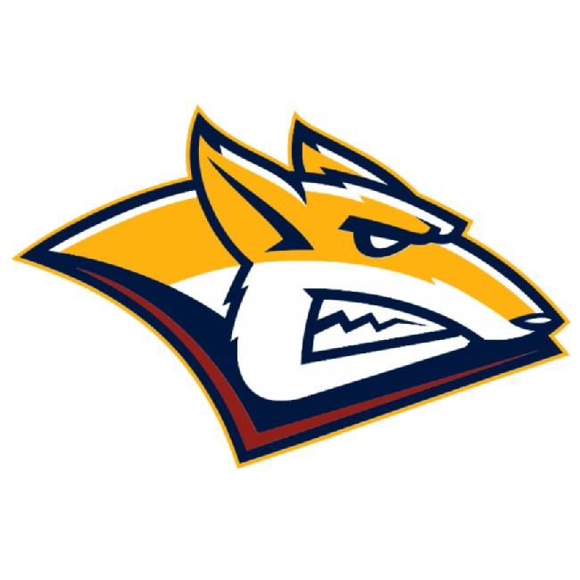 Metallurg