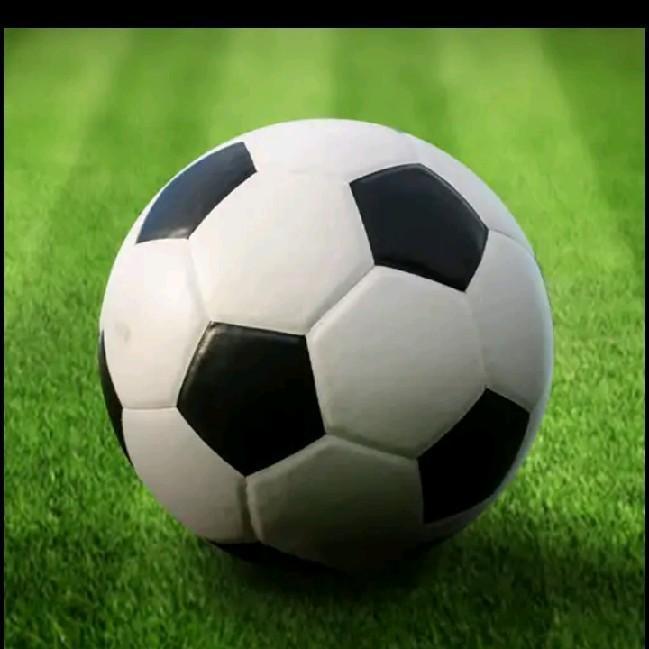Futebol Amador Profissional 2025/26