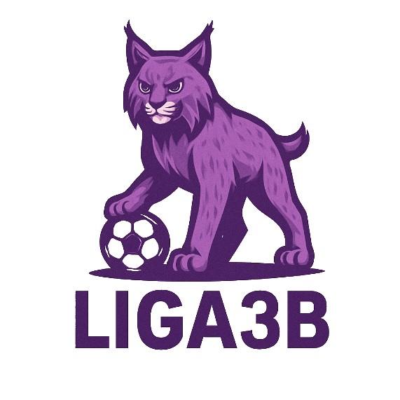 Liga3B Relevo