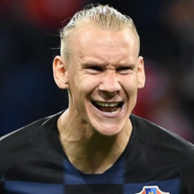 Domagoj Vida