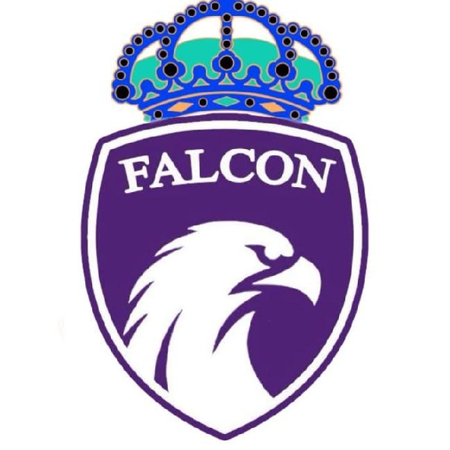 Falcons