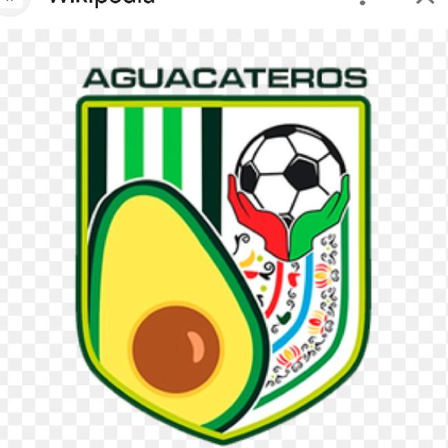 Aguacateros de Uruapan