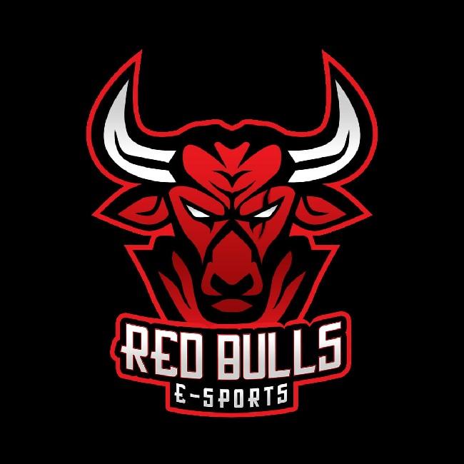 REDBULLS E-SPORTS
