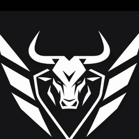 The Bulls