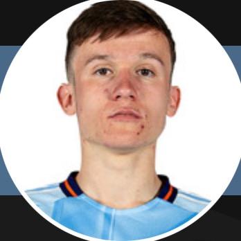 M. Ilenic