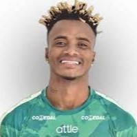 Faber Gil