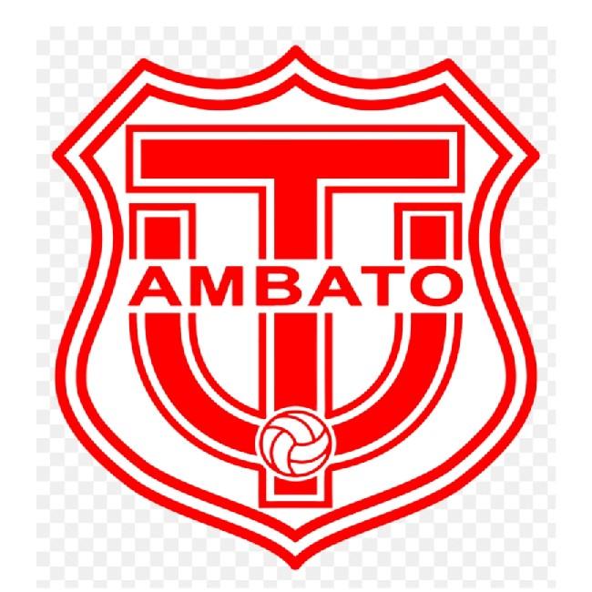 Técnico Universitario