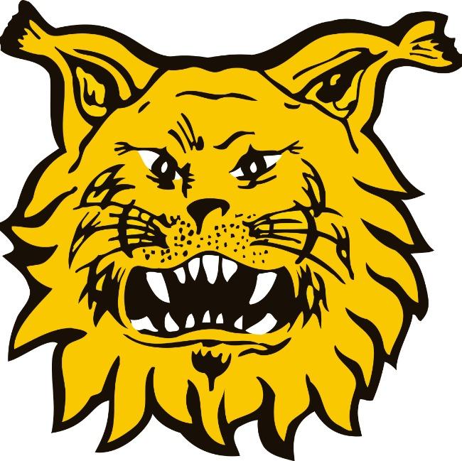 Ilves