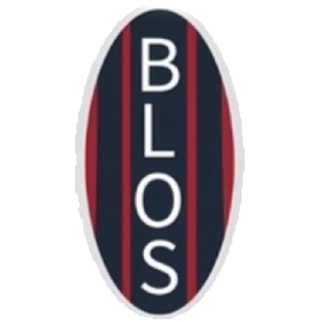 Bolos