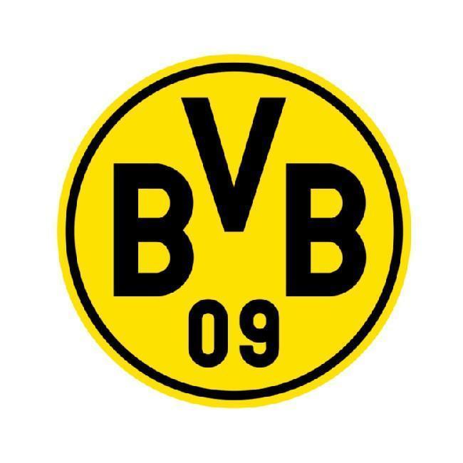 BORUSSIA DORTMUND / MIGUEL