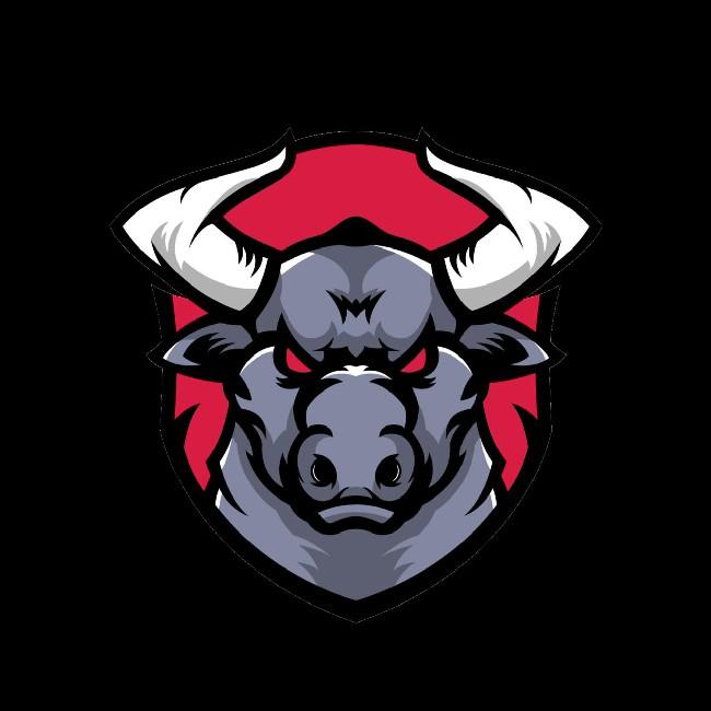 TEAM BULLS