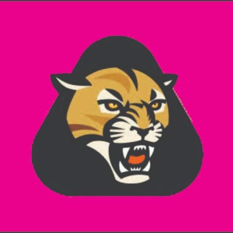PUMAS LA VIGA