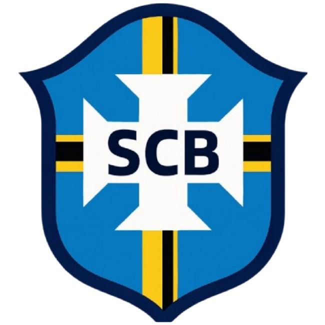 CAMPEONATO BRASILEIRO