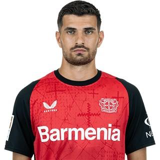 Martin terrier      ❌