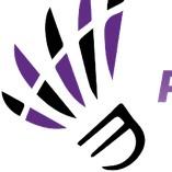 Malaysia Purple League